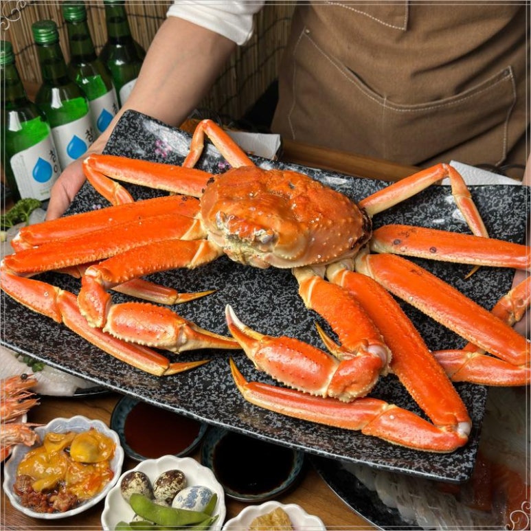 공룡횟집 이미지