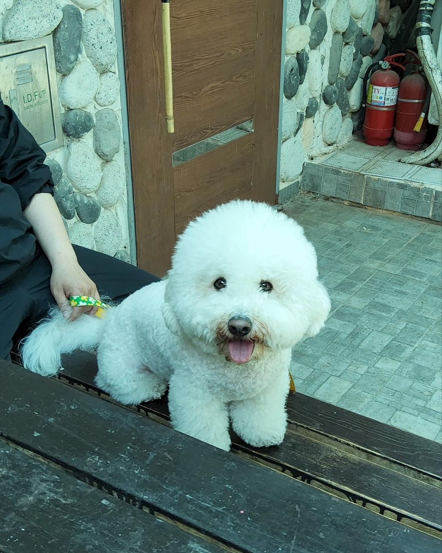 금화원 이미지