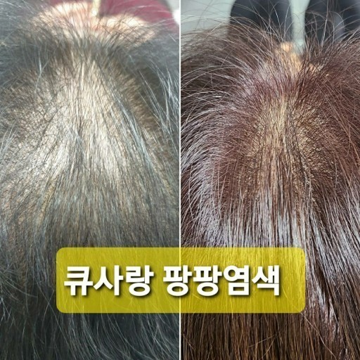 염색팡팡 이미지