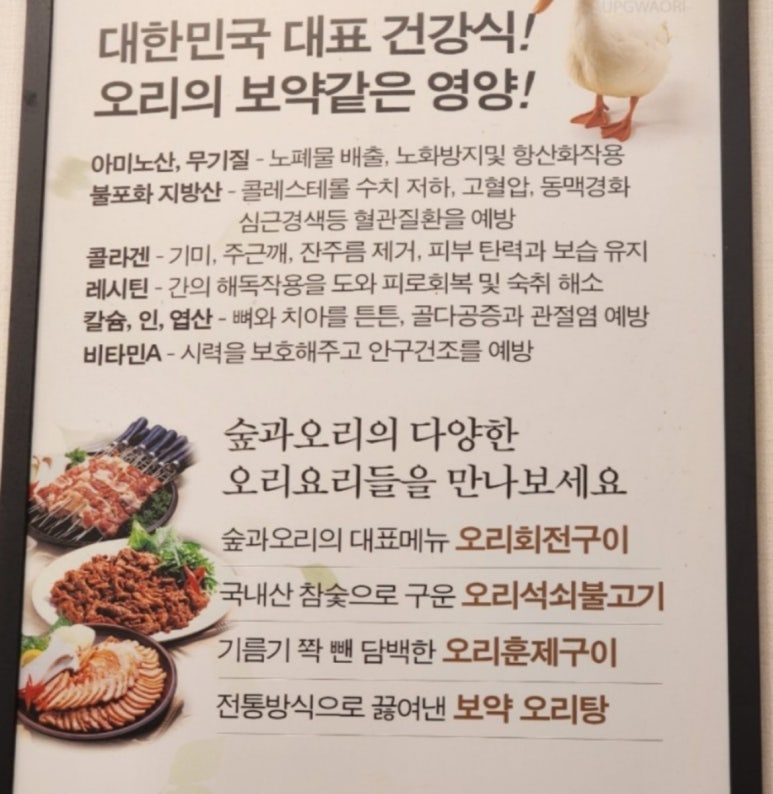 숲오리 이미지