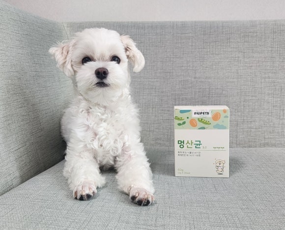 끝 장 이미지