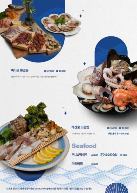 해초롱 이미지