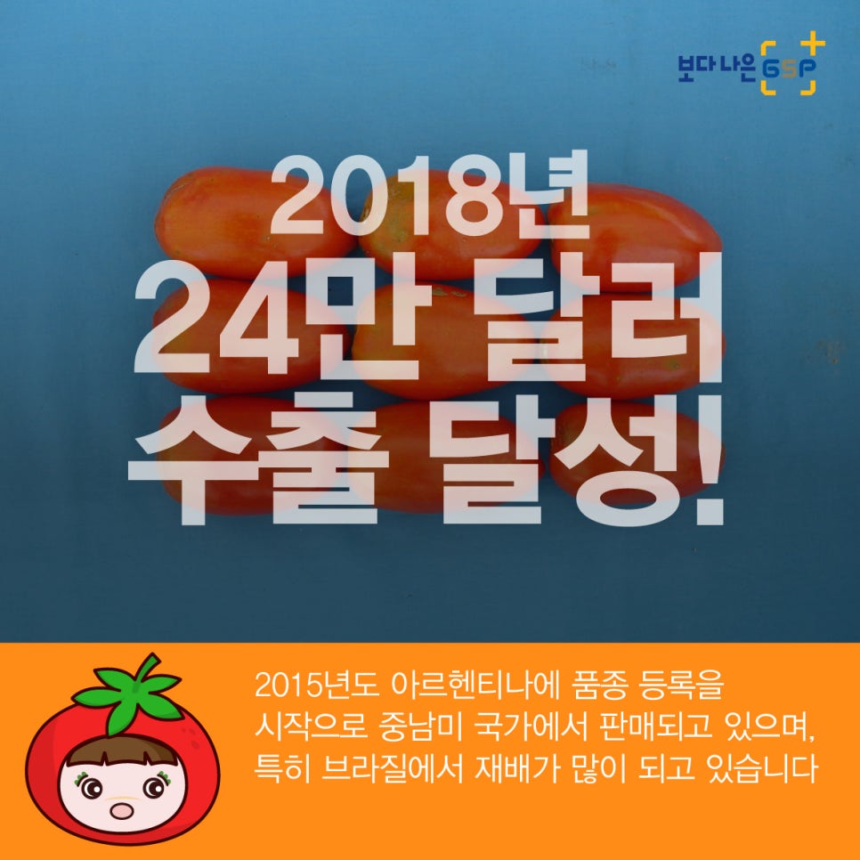 토마토세븐 이미지