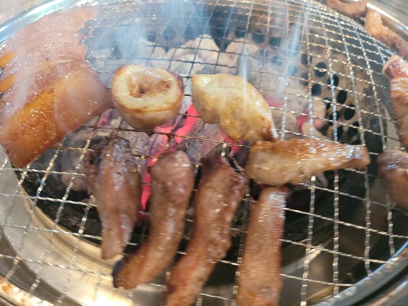 갈매기뒷고기 이미지