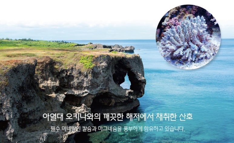 명품플러스 이미지