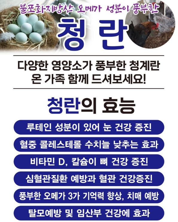 계란직판장 이미지