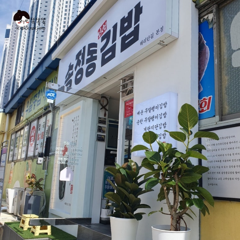 송정동김밥 이미지