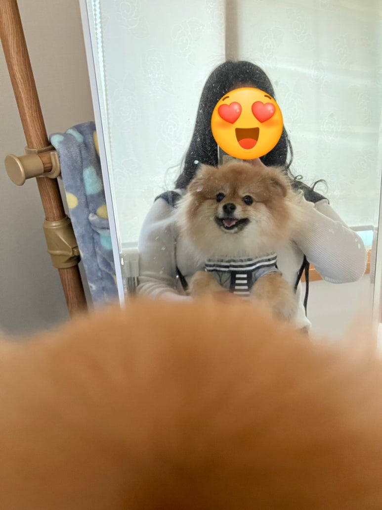 해피보리네 이미지