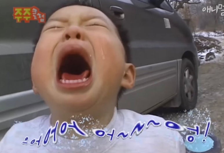 마이아미고 이미지