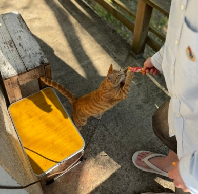 오남수산 이미지