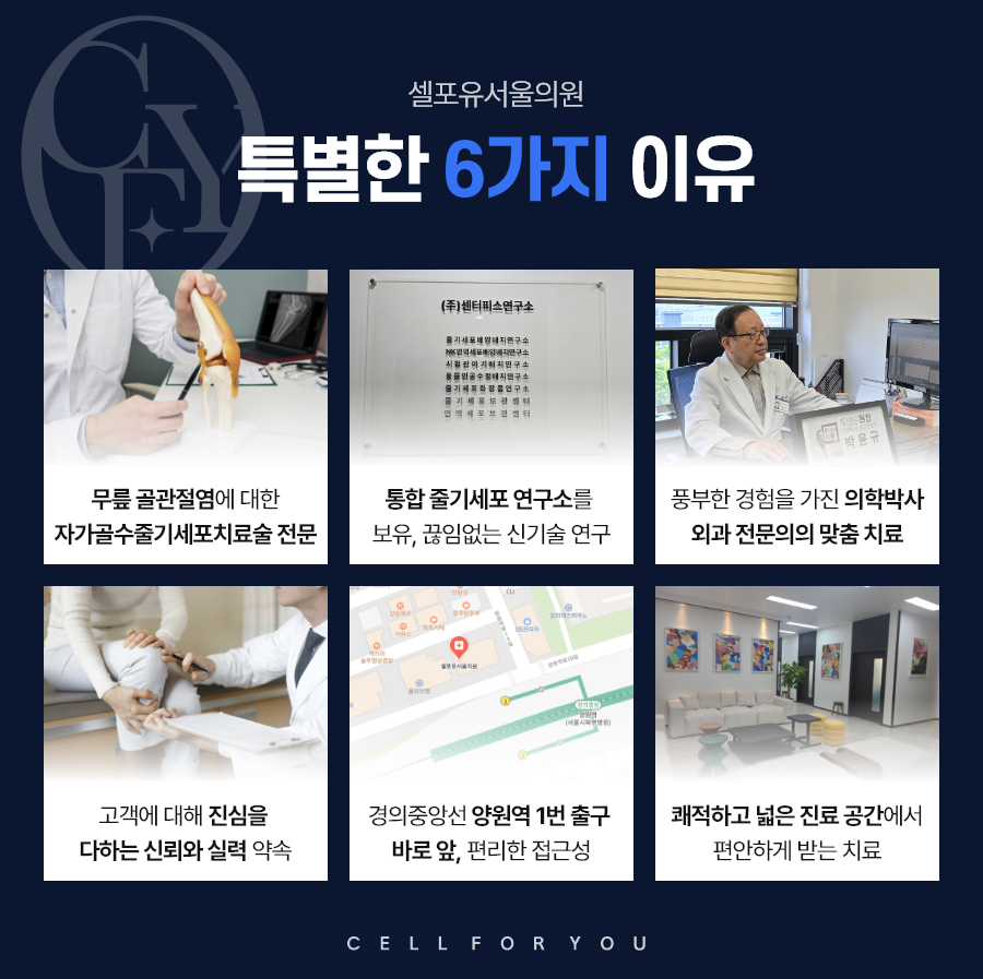 셀포유서울의원 이미지