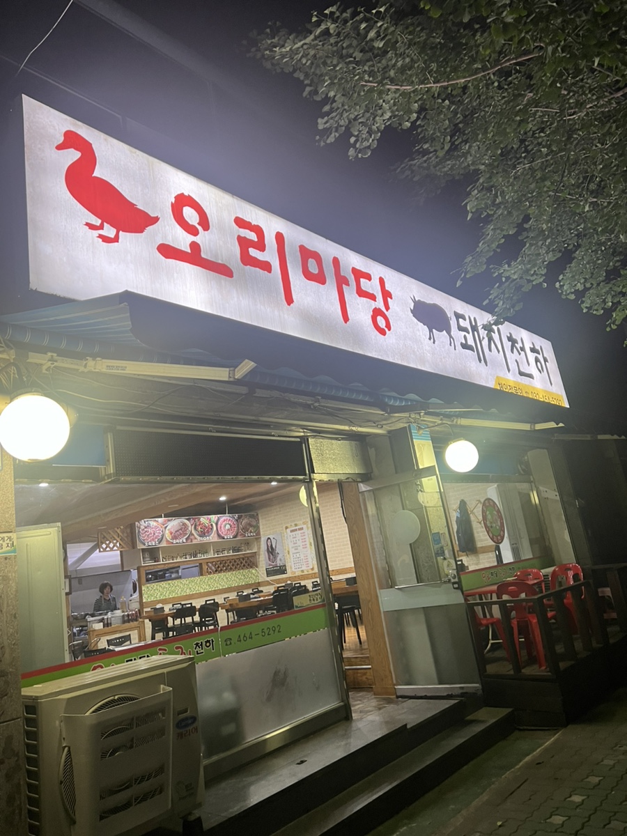 오리마당돼지천하 이미지
