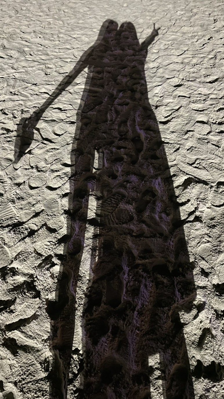 롱다리디스코 이미지
