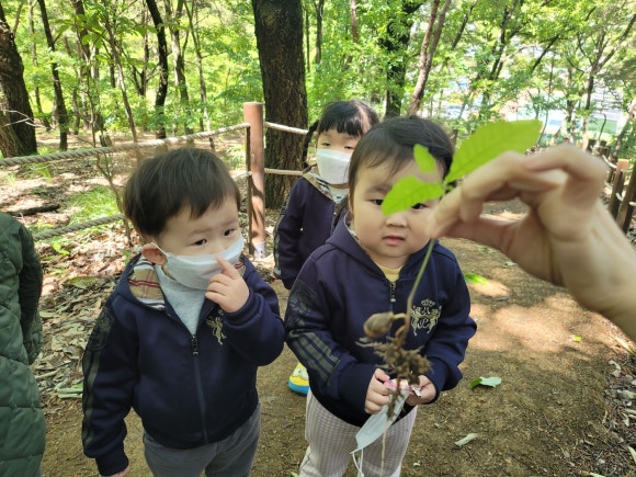 지산보리어린이집 이미지