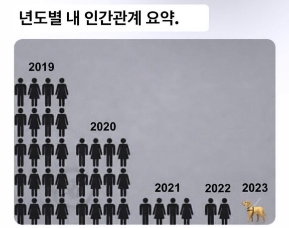 내도시락 이미지