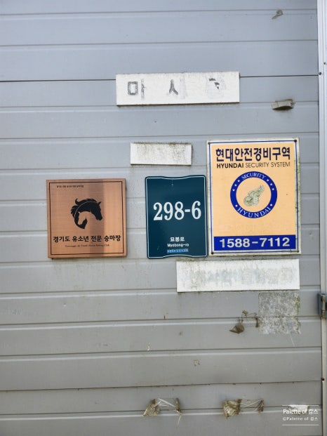 용인홀스트래킹 이미지