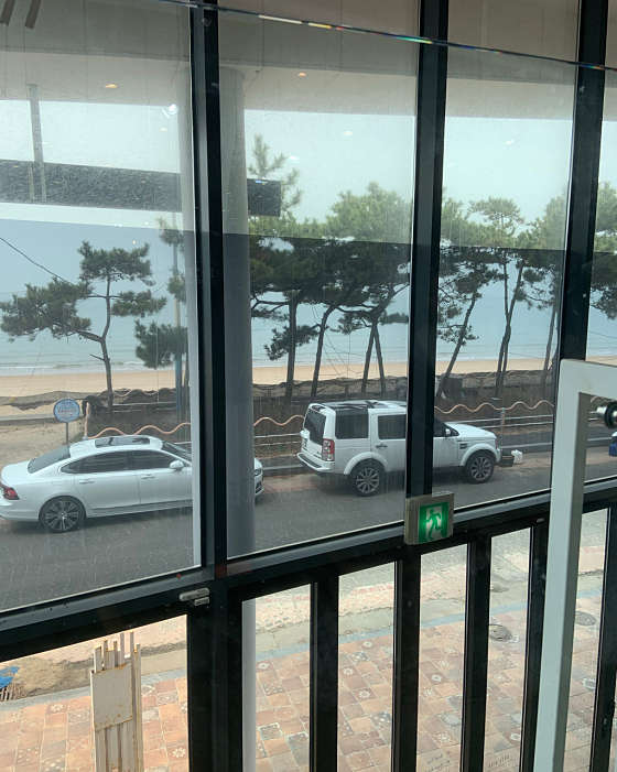 도쎄비다 이미지