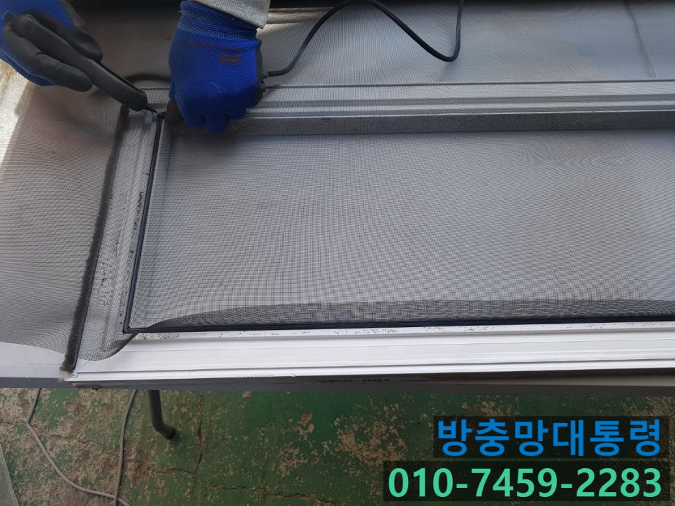 방충망대통령 이미지
