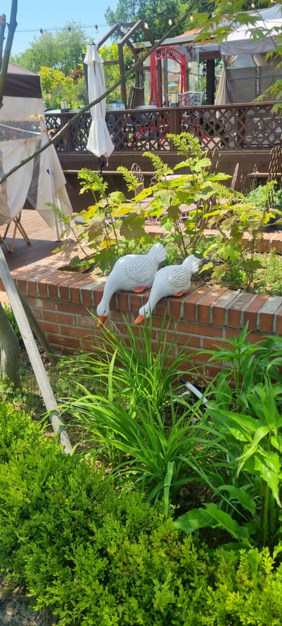 아라커피숍 이미지