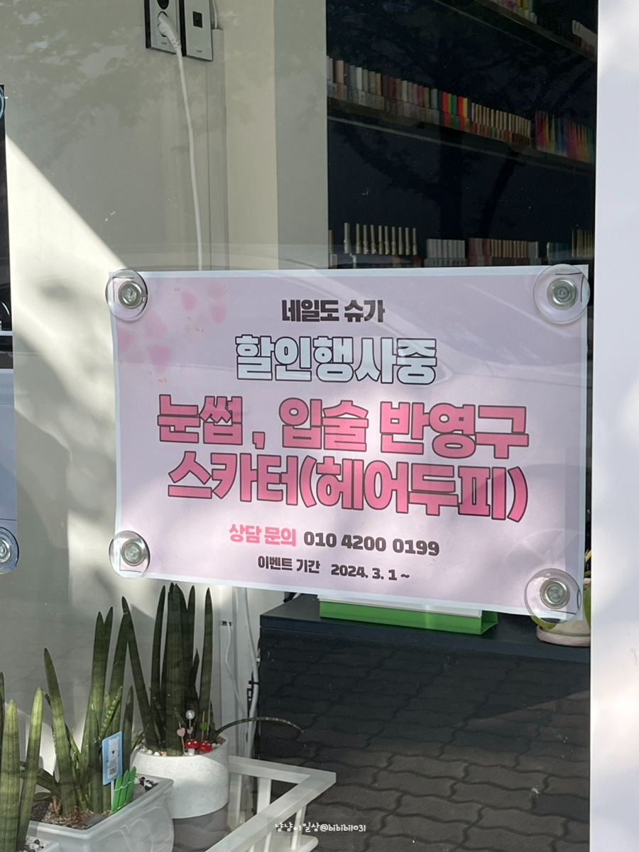 네일도슈가 이미지