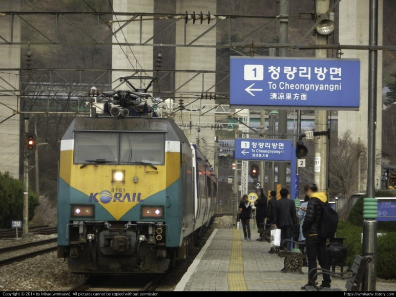 초록전기 이미지