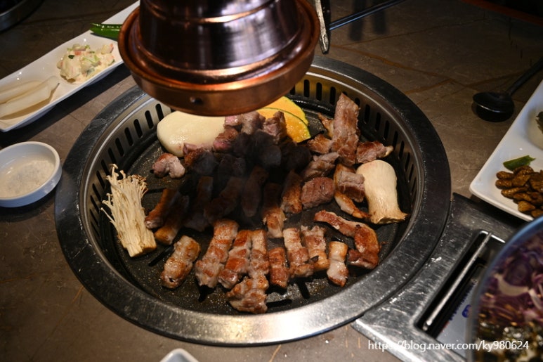 거북이동네부산 이미지