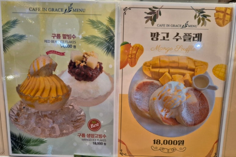 카페인그레이스 이미지