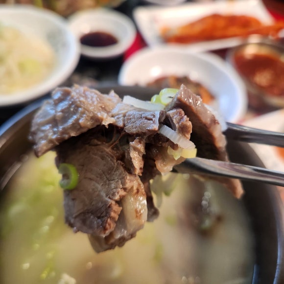 대양카 이미지
