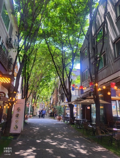 젠젠 보정동카페거리점 이미지