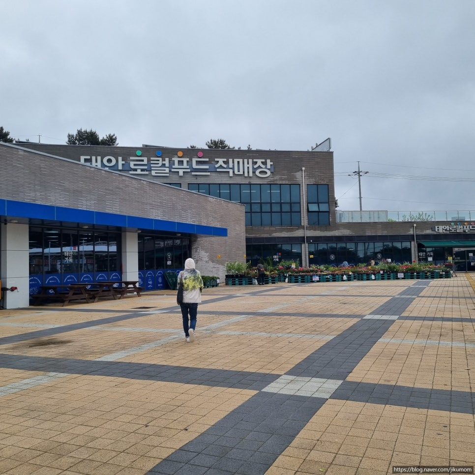 태안농협 로컬푸드직매장 이미지