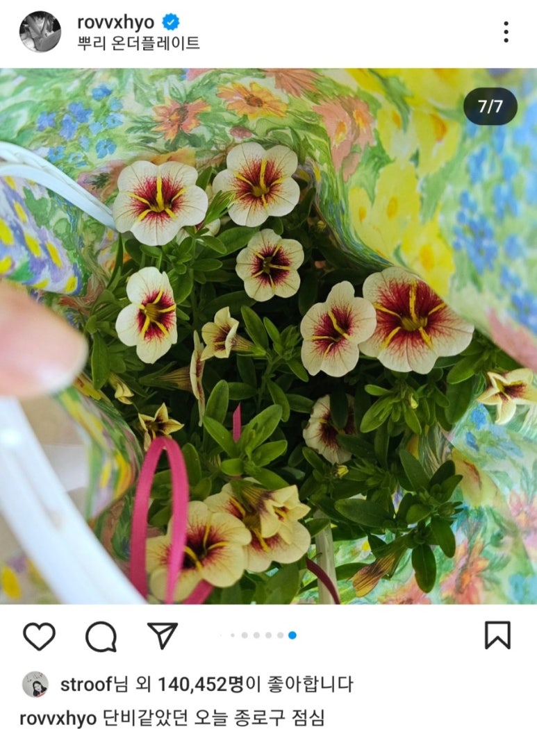 뿌리온더플레이트 이미지