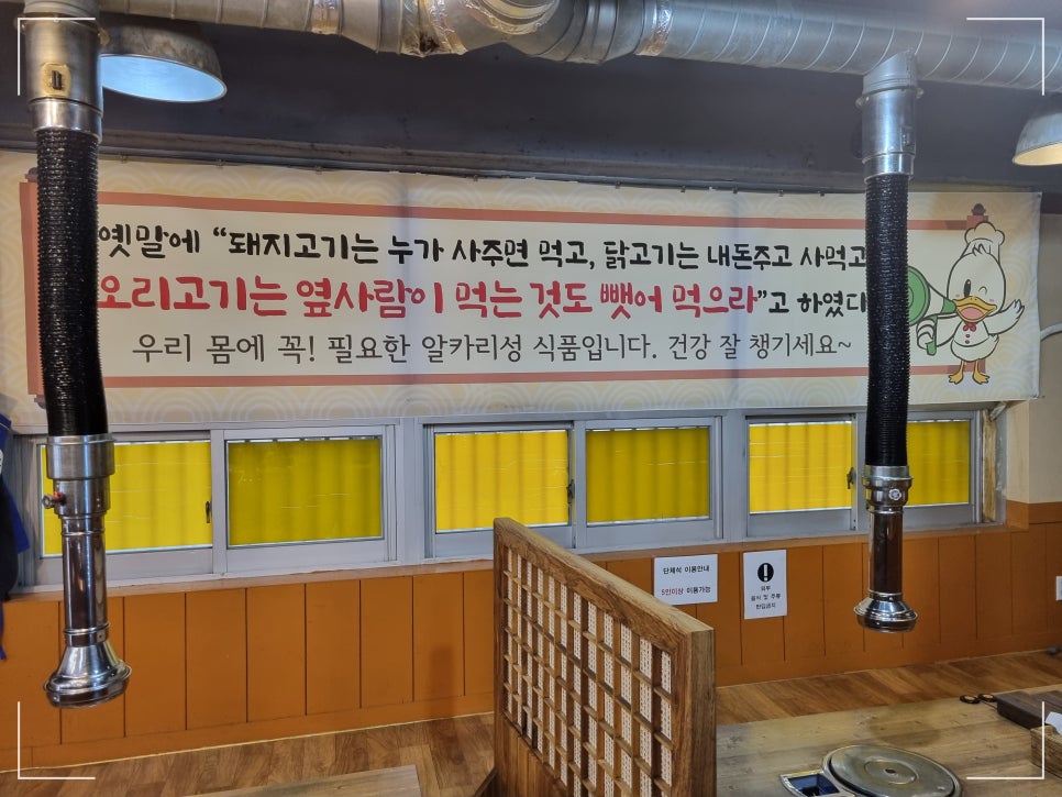 돈오리 이미지