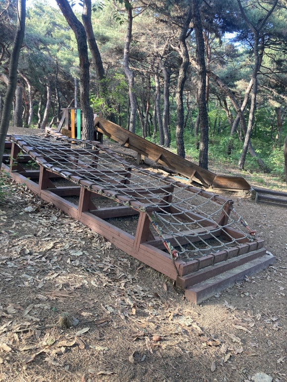소산서원 유아숲체험원 이미지