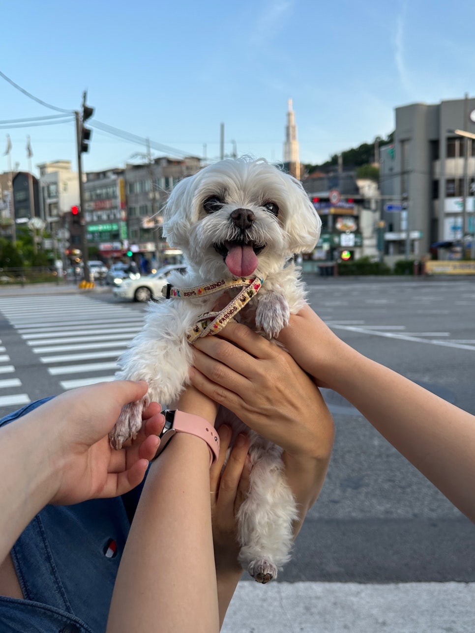 연세리즈의원 이미지