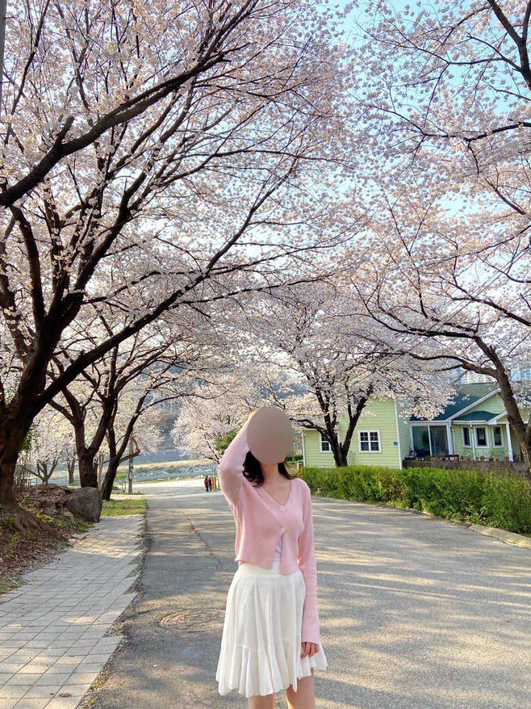선진랜드 이미지