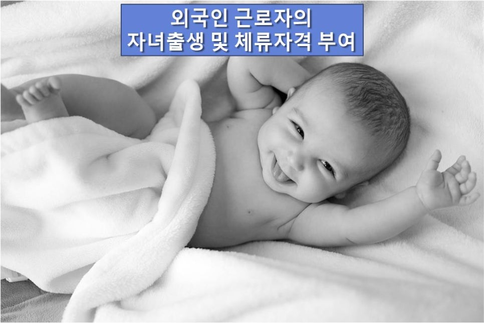 웰컴행정사사무소 이미지