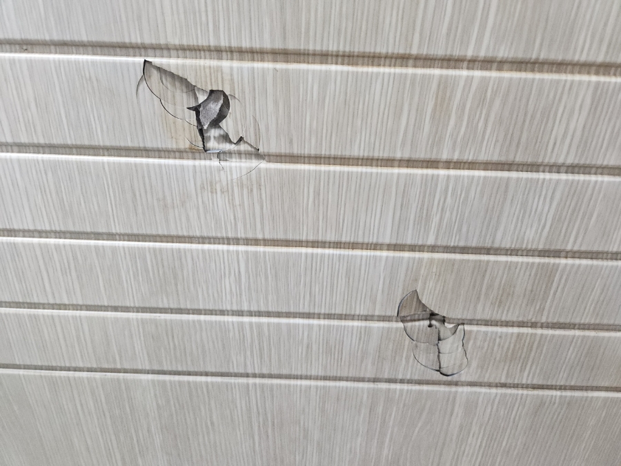 문빵꾸 이미지