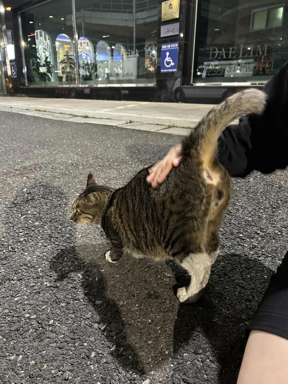 (주)요즘 이미지