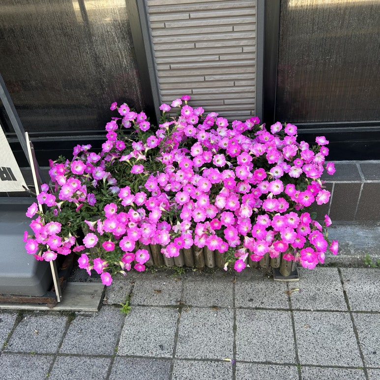 화화 문현점 이미지