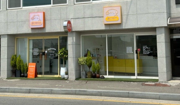 론디쿠키 이미지