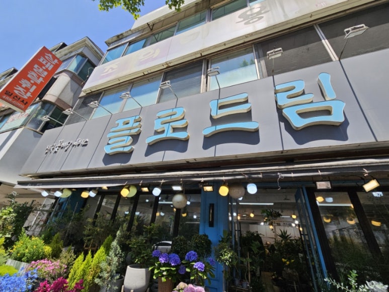 플로드림 이미지