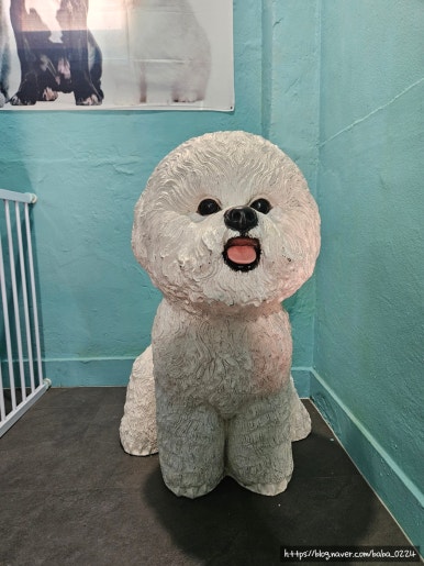 에바가위컷 전문점 이미지