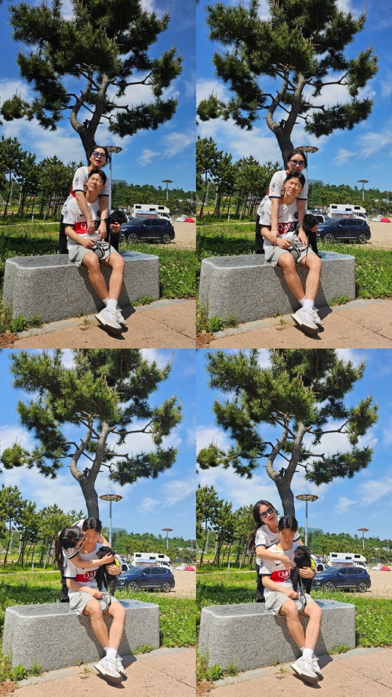 웰컴독 이미지