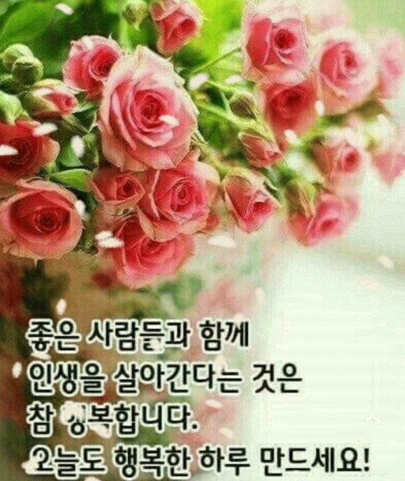 사람의향기 이미지