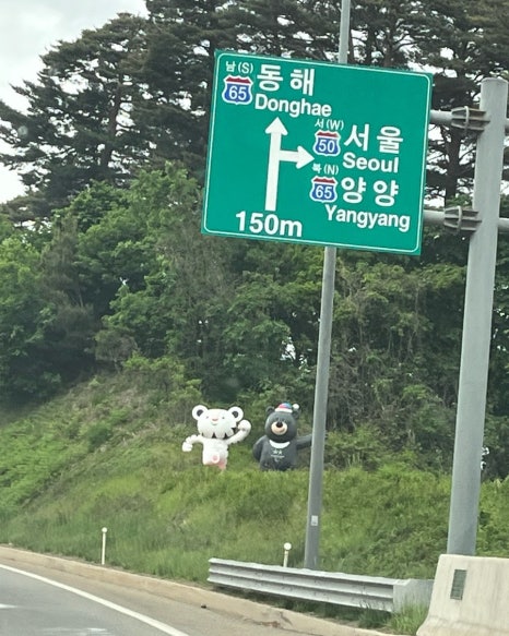 허니홈비강릉 이미지