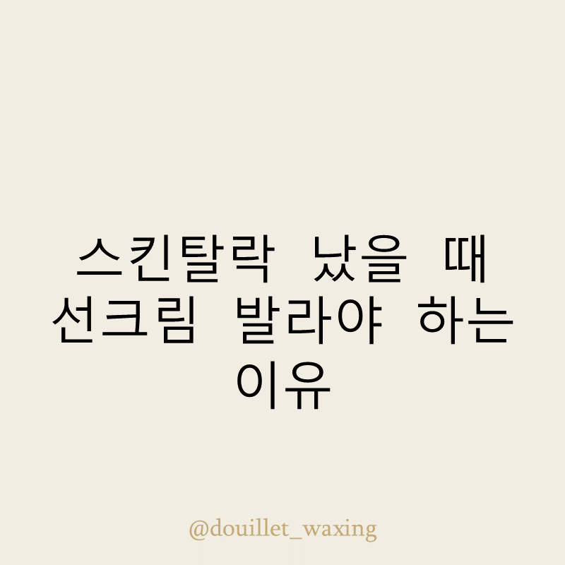 이유스킨 이미지