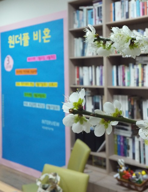 비비네트워크 이미지
