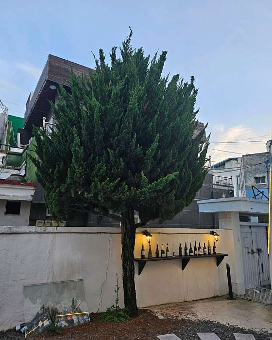 태영생막창합성점 이미지