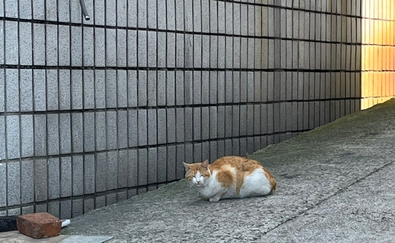 포레스트금산 이미지
