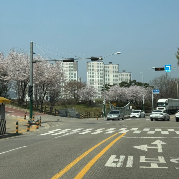 테라워시오송점 이미지